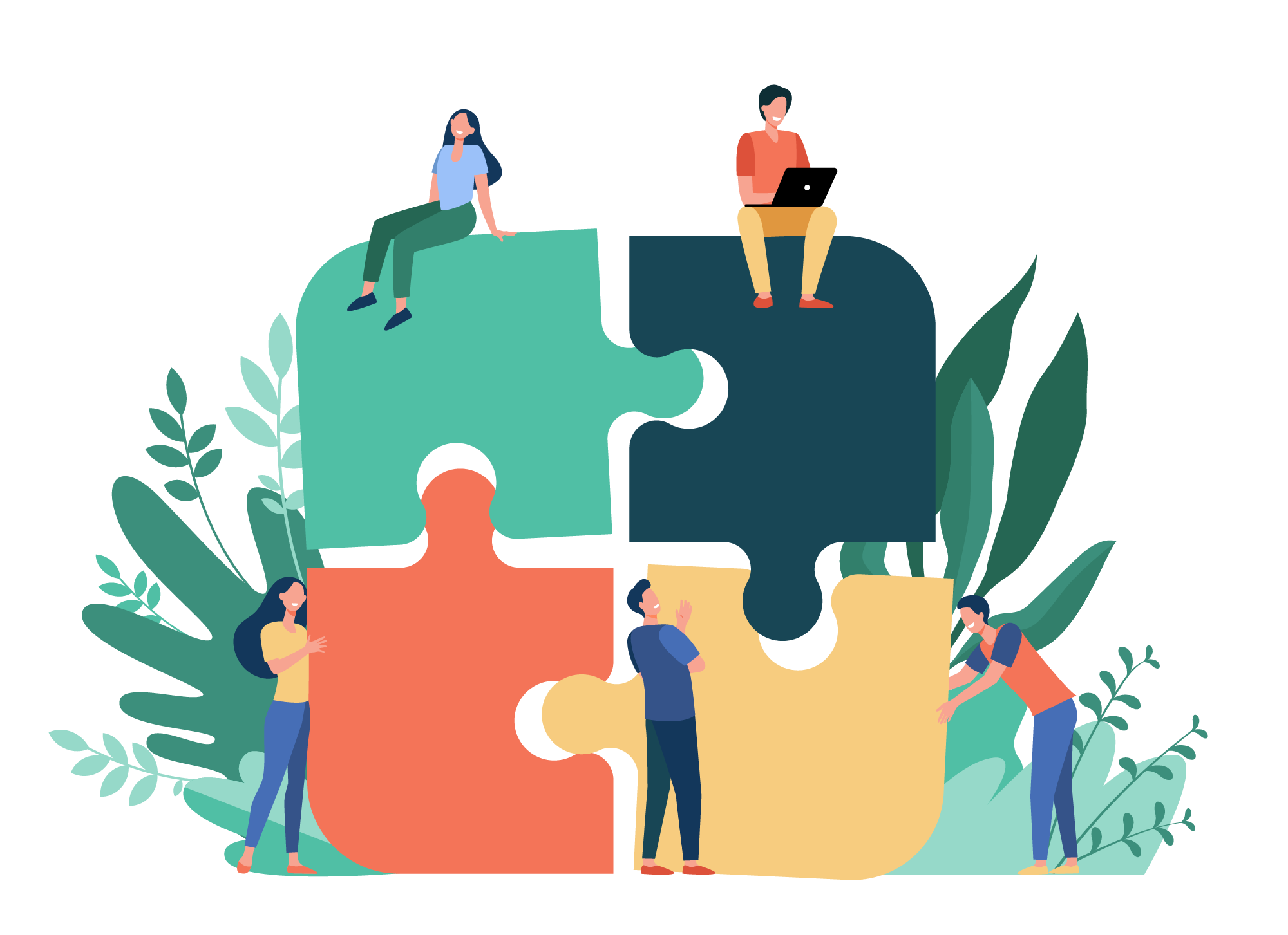 Details on organization and communication with guestoo • 